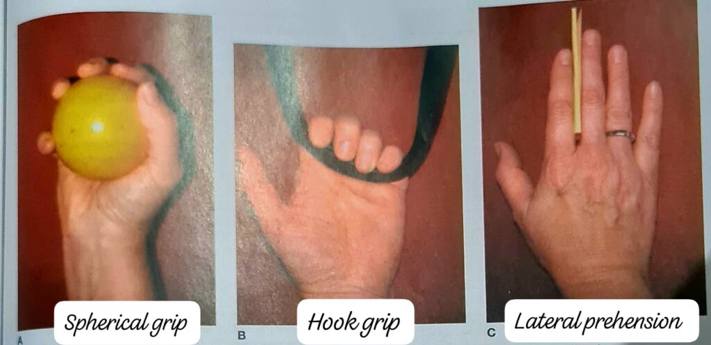 Type of Grips of the hand